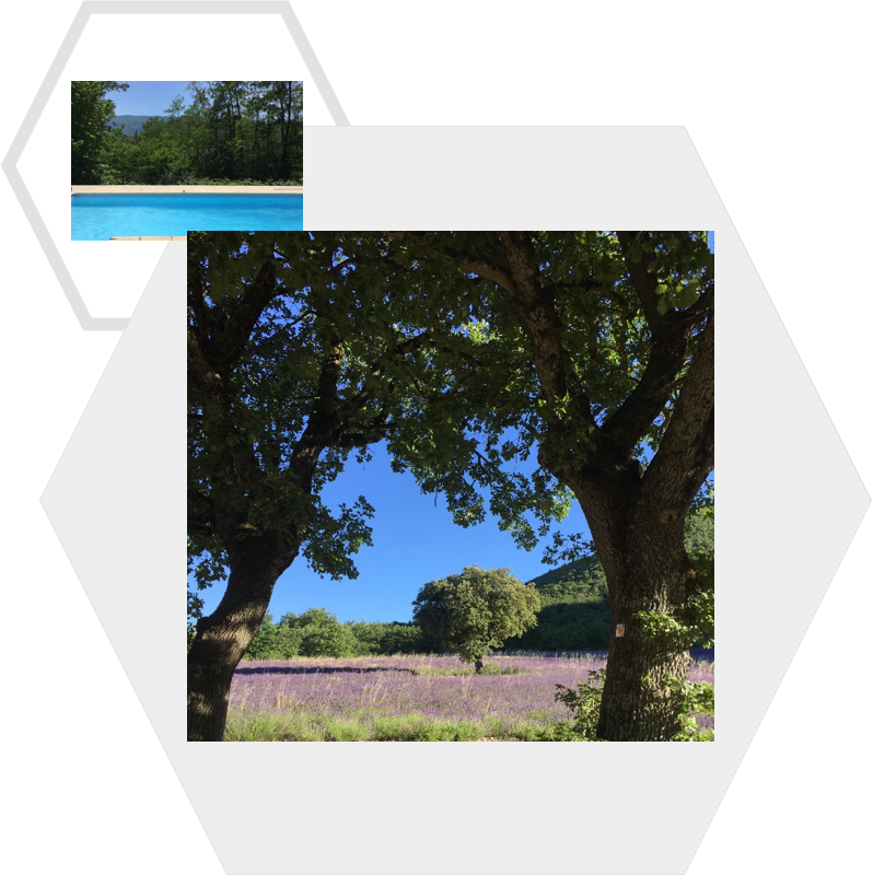 alveoles